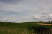 IMG_9382
